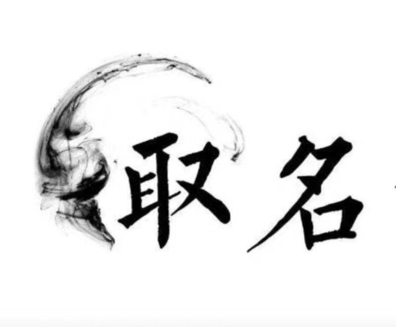  崖州宝宝取名 大师一对一人工起名